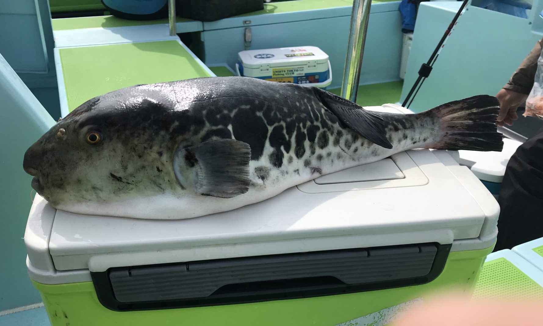 ダメダメ釣行 - えむ笑会